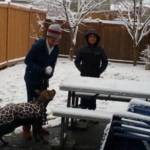 Meet your Posher, Lea